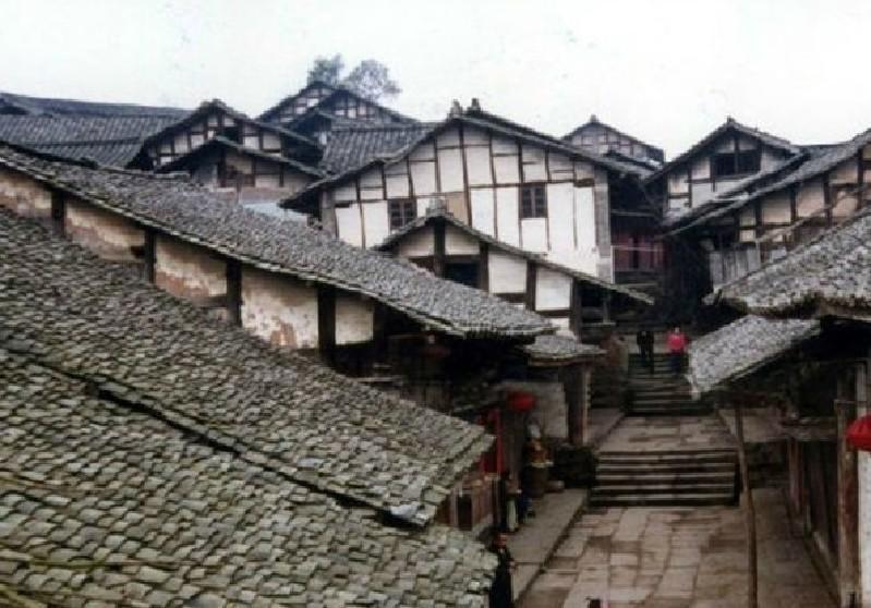 探寻吉鹿力之谜,精彩问答社区狂飙中陈书婷被谁害死的